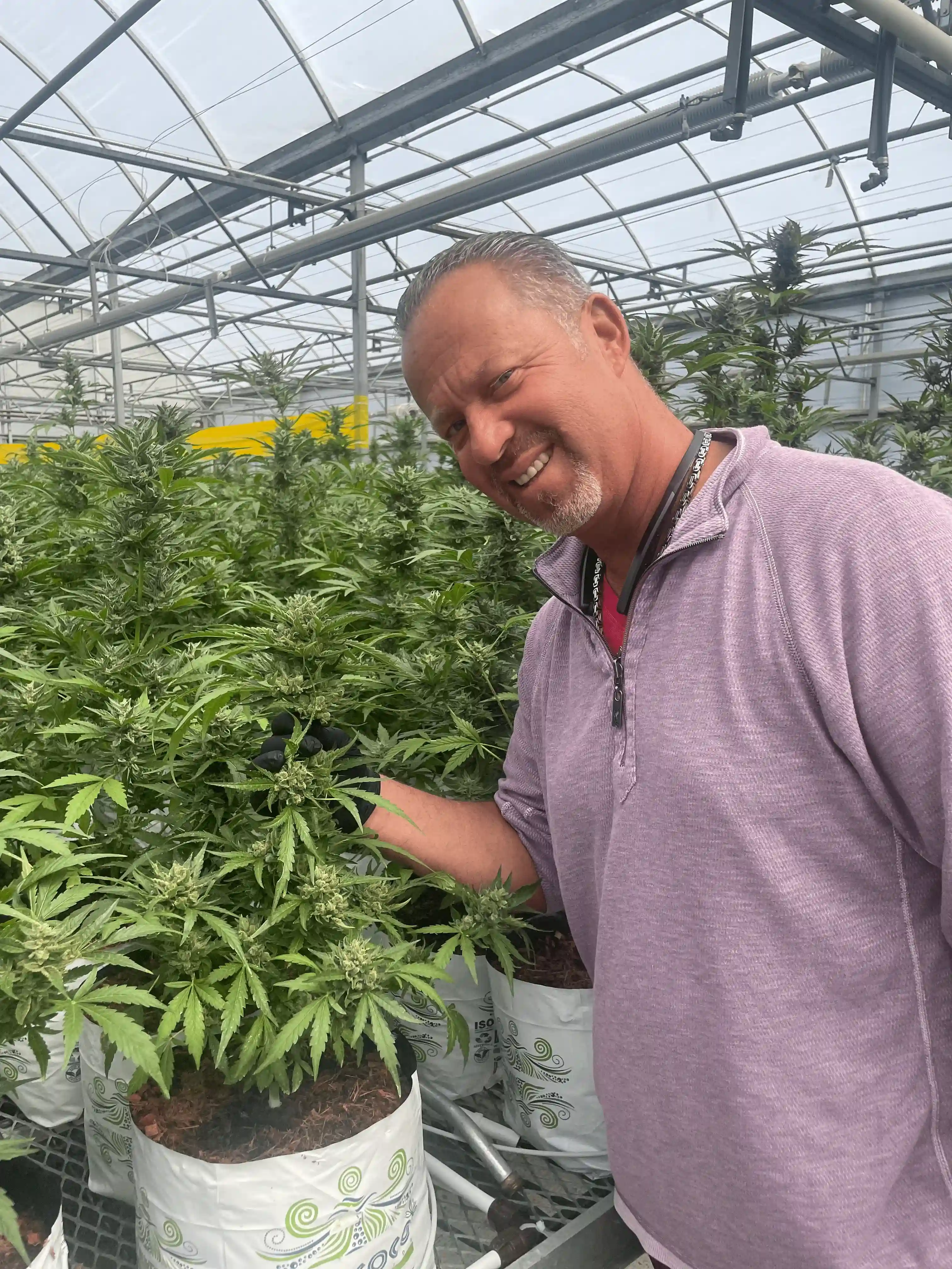 Seth Marks, Founder of Treehouse Cannabis