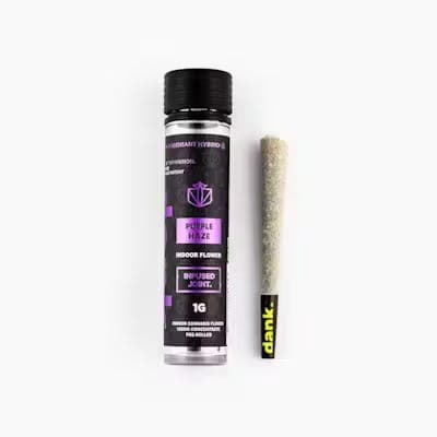 Purple Haze • Infused Pre Roll • -  | Treehouse Cannabis