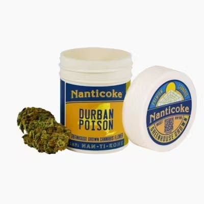 Durban Poison • 3.5g - Nanticoke | Treehouse Cannabis