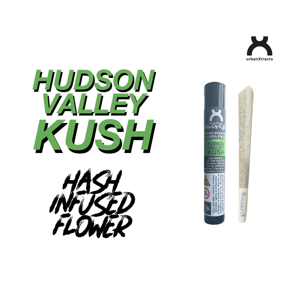 Hudson Valley Kush • Hash Infused Pre-Roll • - urbanXtracts | Treehouse Cannabis