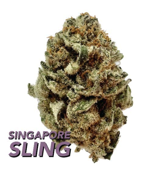 Singapore Sling • 3.5g - urbanXtracts | Treehouse Cannabis