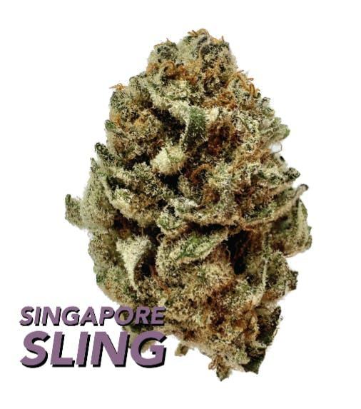 Singapore Sling • 3.5g - urbanXtracts - FLOWER