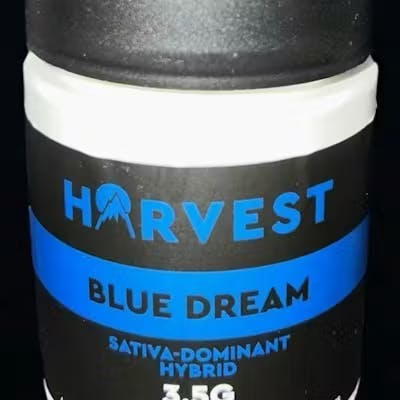 Blue Dream • 3.5g - Harvest | Treehouse Cannabis - Weed delivery for New York