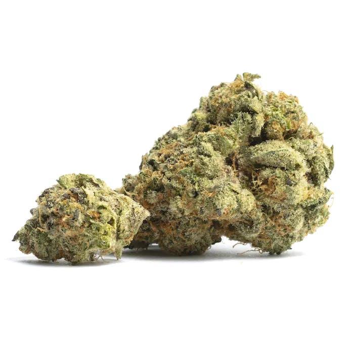 Heavy OG - Platinum Reserve | Treehouse Cannabis - Weed delivery for New York