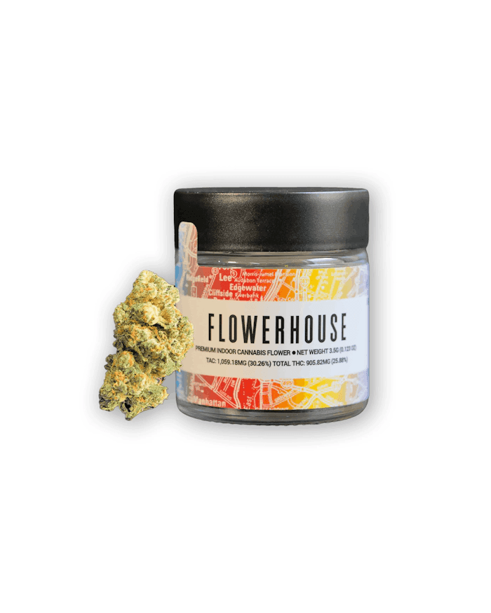 Rainbow Sherbet • 3.5g - Flower House | Treehouse Cannabis