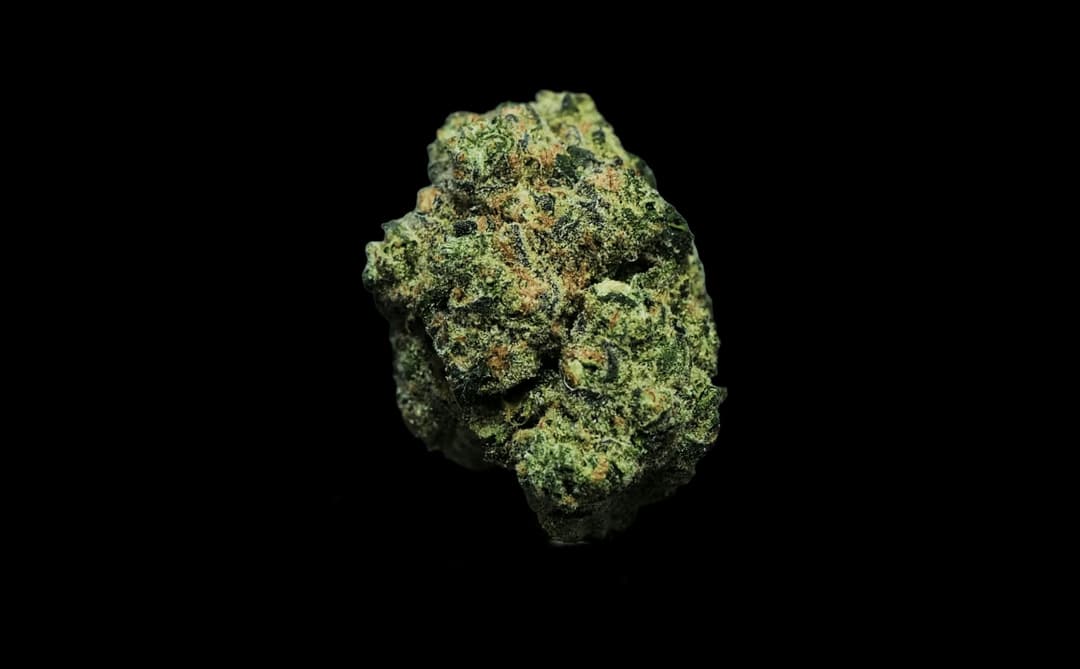 Bosscotti • Flower • 3.5g - FlowerHouse | Treehouse Cannabis