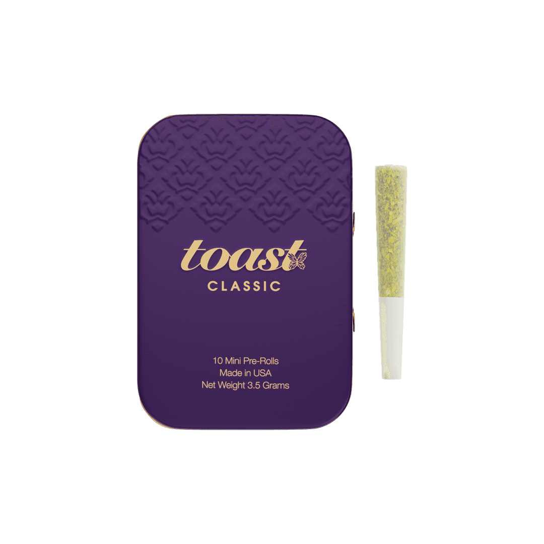 Durban Daydream • Toast • 10pk - Toast | Treehouse Cannabis