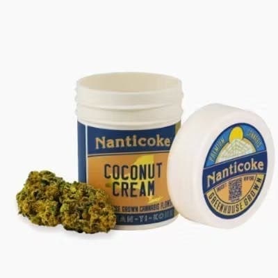 Coconut Cream • Flower • 3.5g - Nanticoke | Treehouse Cannabis