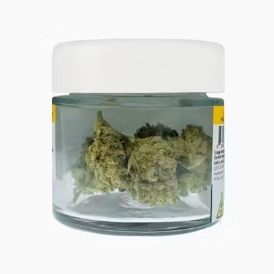 G13 Genius HV • 3.5g - High Falls Canna - FLOWER - Rockland County Weed Delivery | Treehouse Cannabis