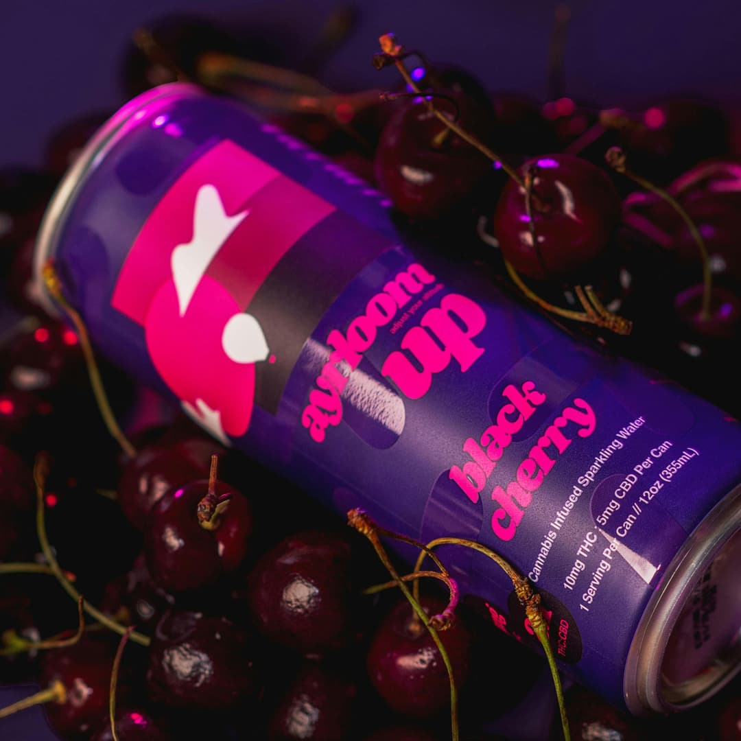 Black Cherry 2:1 • Infused Sparkling Water • 4 Pack • THC: 40mg, CBD: 20mg - ayrloom | Treehouse Cannabis