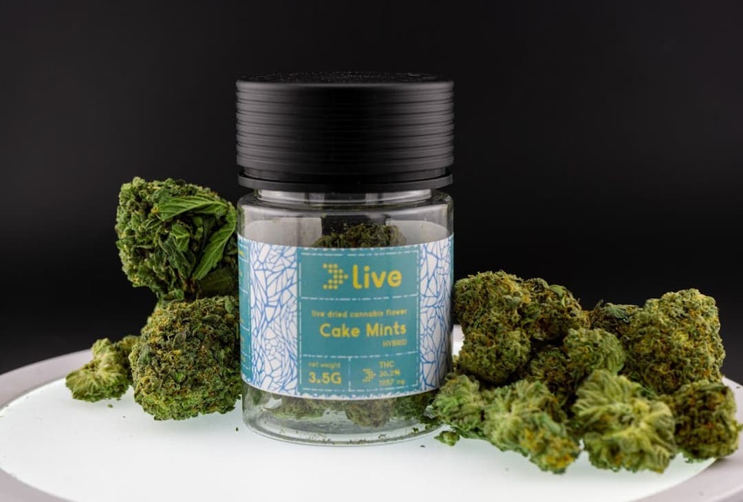 Cake Mints • Flower - Live | Treehouse Cannabis