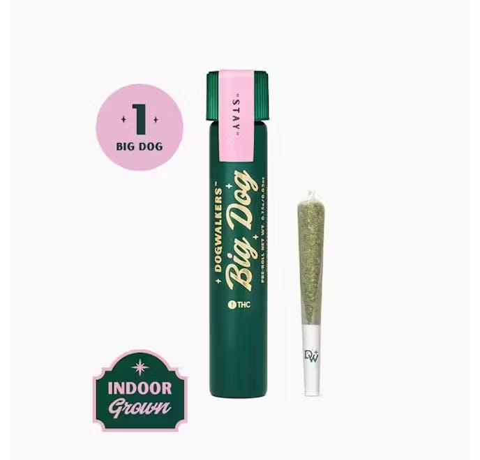 Baklava Big Dog Pre-Roll .75g - Dogwalkers 