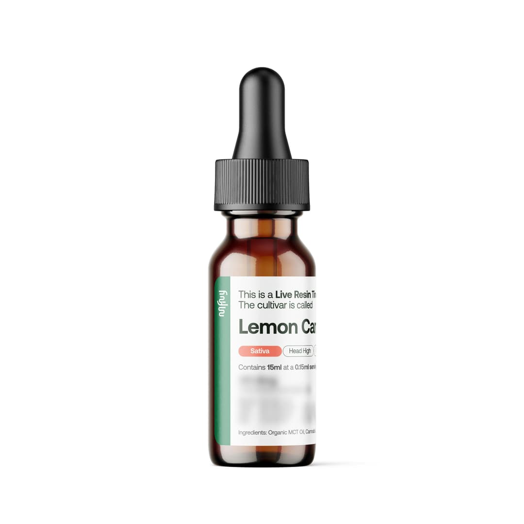 Lemon Cane • Tincture - MFNY | Treehouse Cannabis