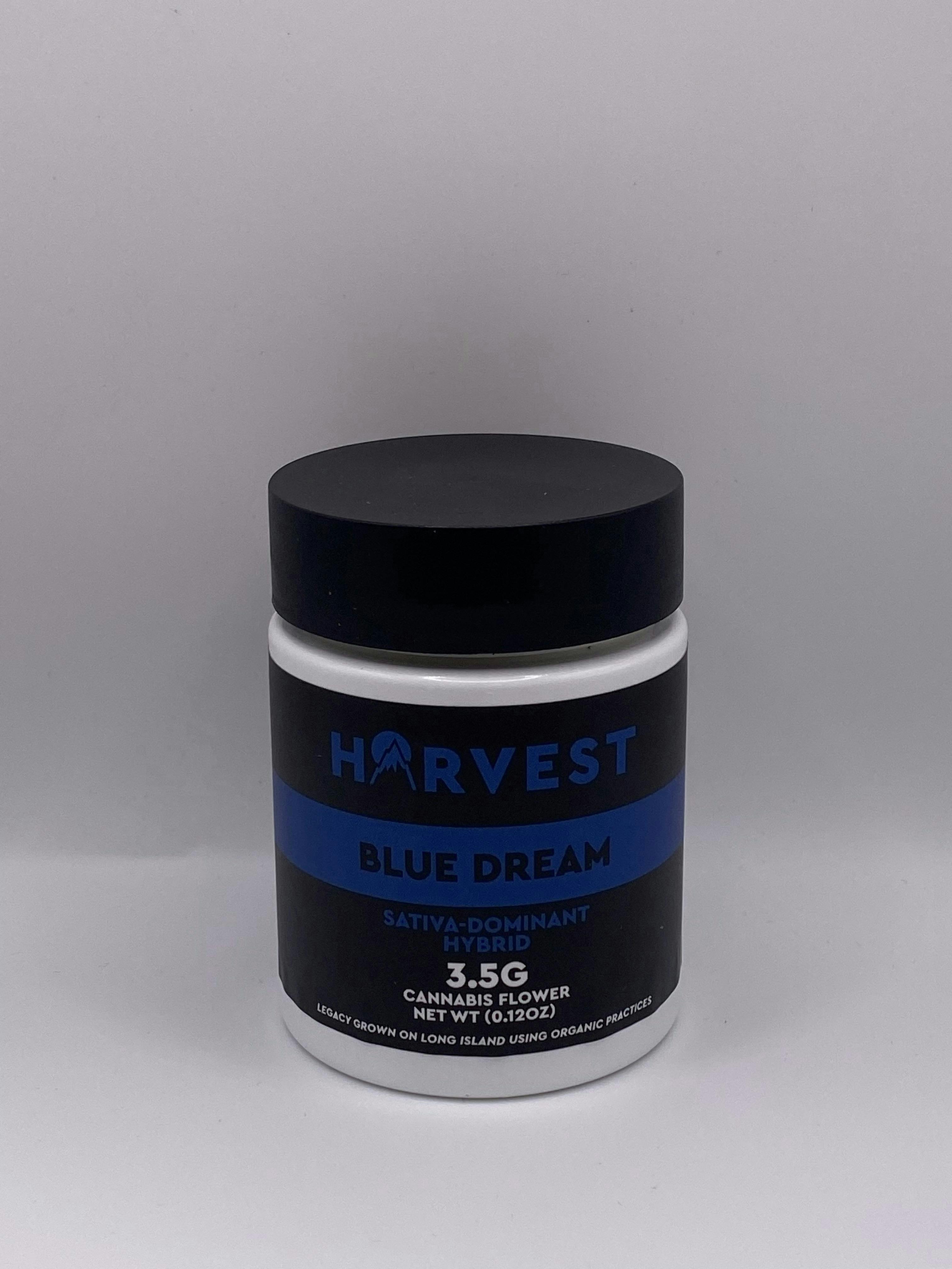 Blue Dream • 3.5g - Harvest - FLOWER - Rockland County Weed Delivery | Treehouse Cannabis