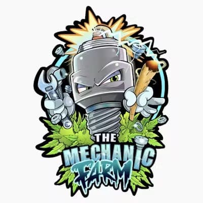 The Z Flower 3.5g - The Mechanic Farm