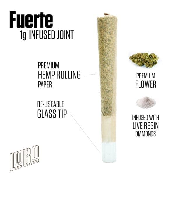 Orange OG • Fuerte Infused Joint - Lobo | Treehouse Cannabis