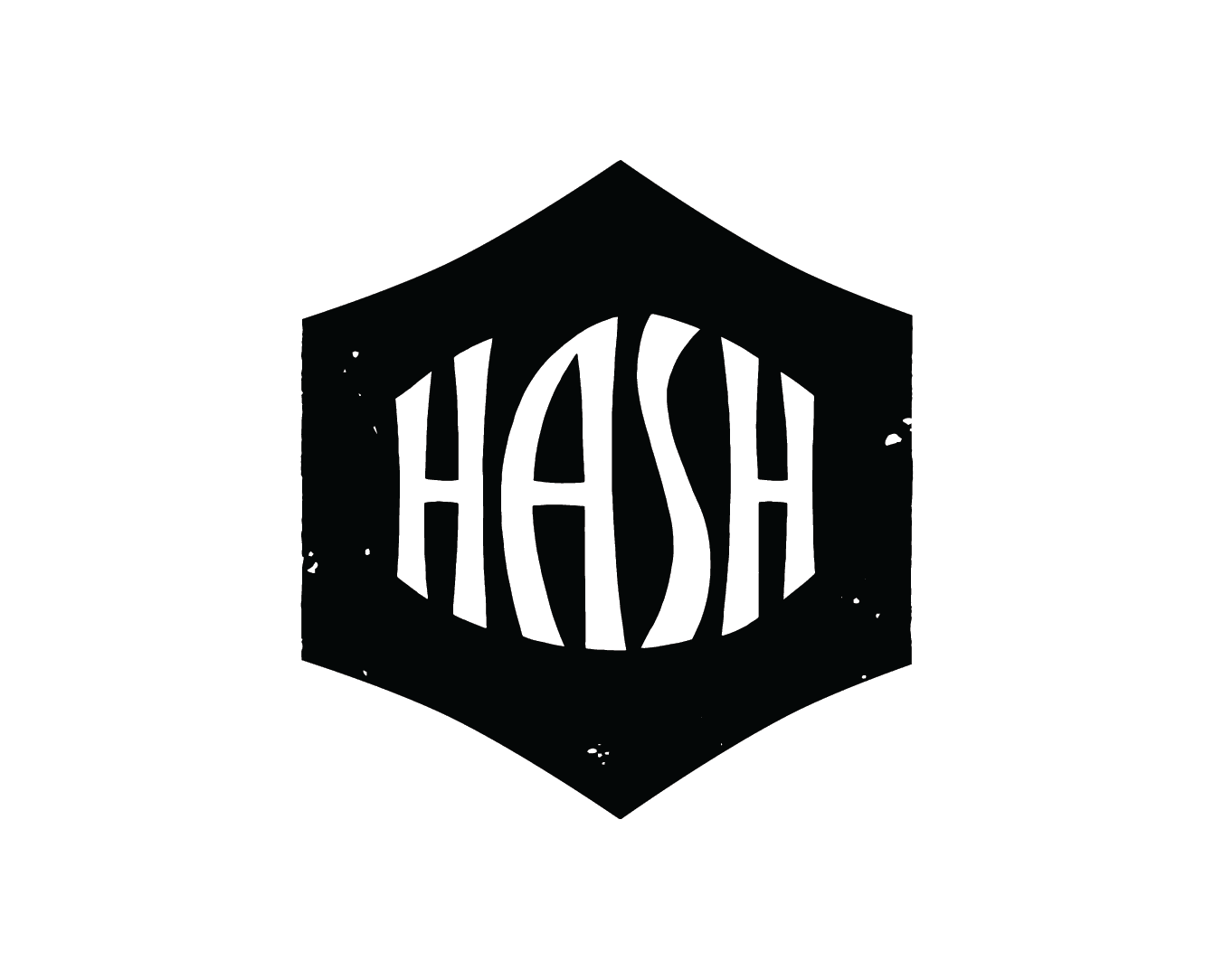 HASH brand logo