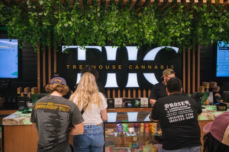 Knowledgeable budtender