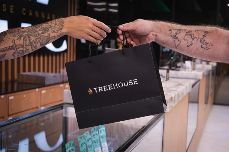 Treehouse Cannabis interior