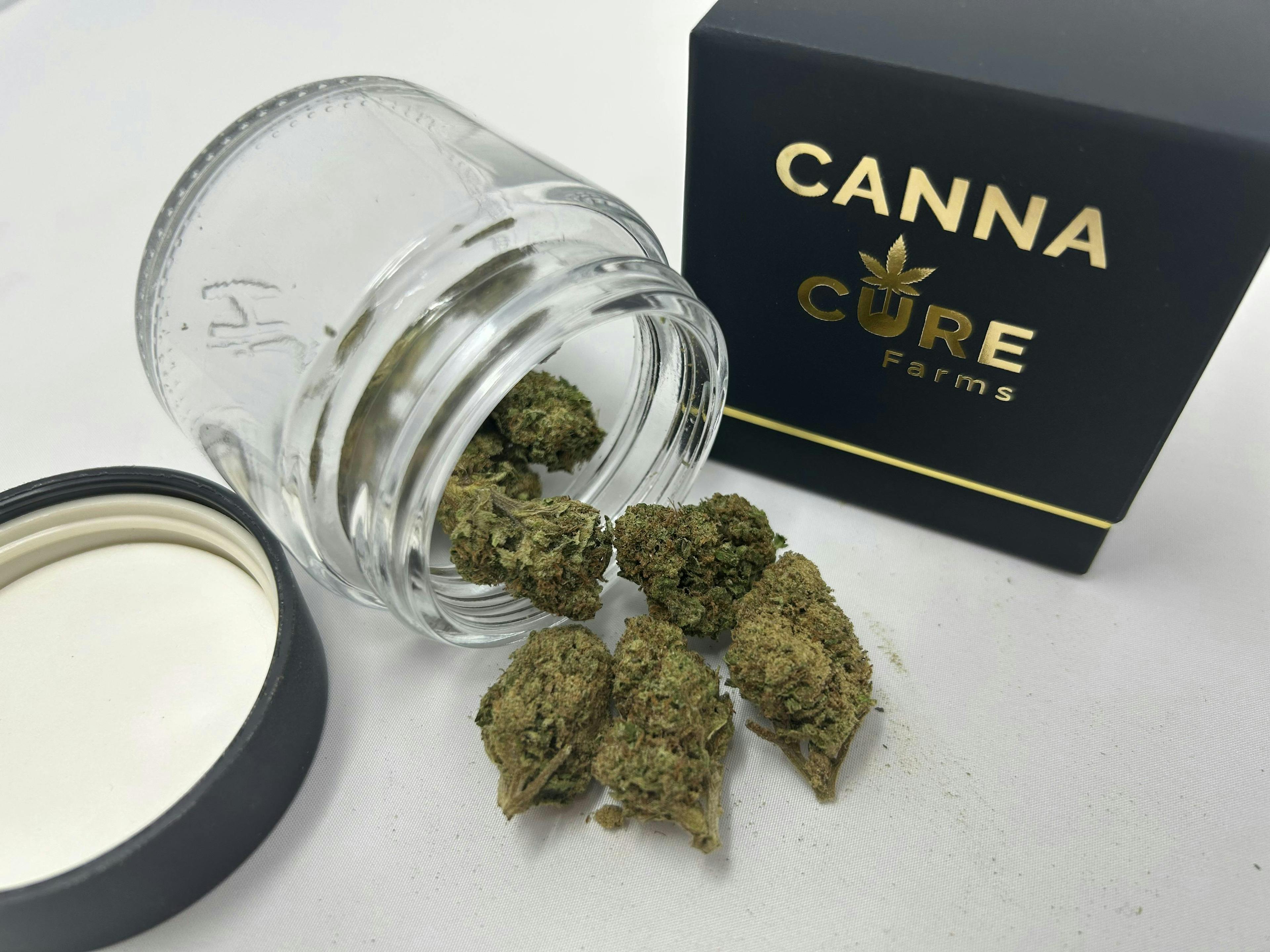 White Widow • 3.5g - CANNA-CURE - FLOWER - Rockland County Weed Delivery | Treehouse Cannabis