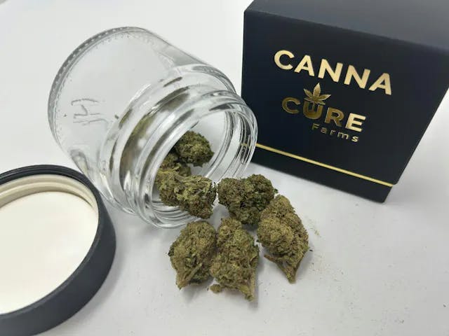 OG Kush • 3.5g - CANNA-CURE - FLOWER - Rockland County Weed Delivery | Treehouse Cannabis