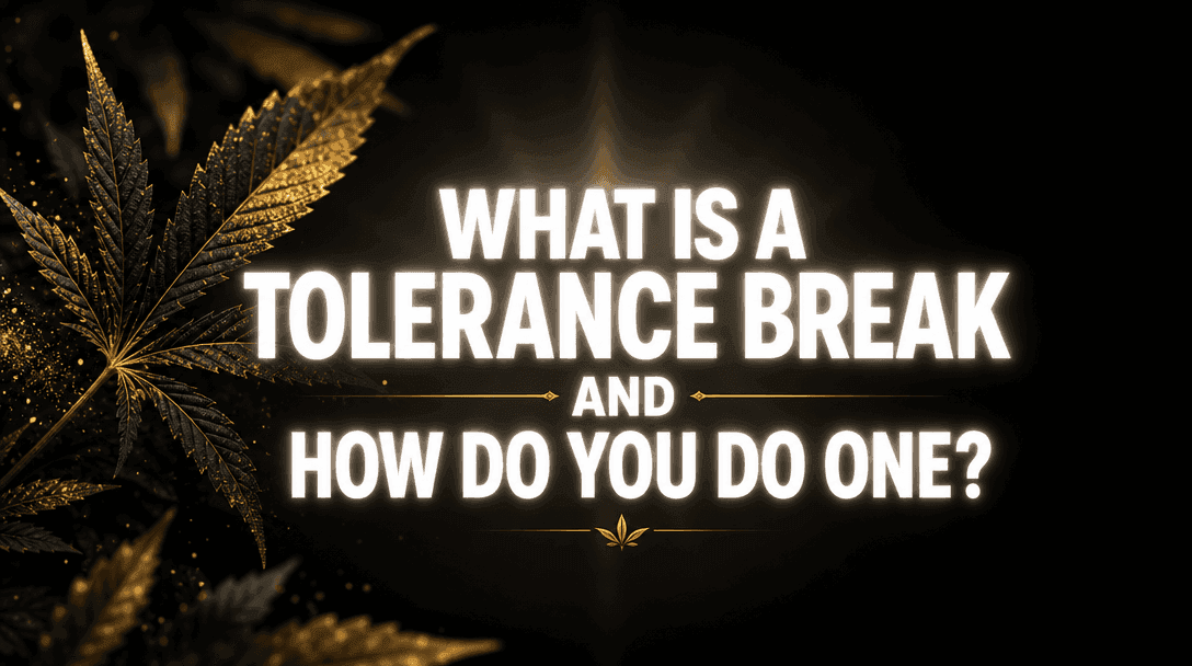 What Is a Tolerance Break and How Do You Do One? blog post cover image